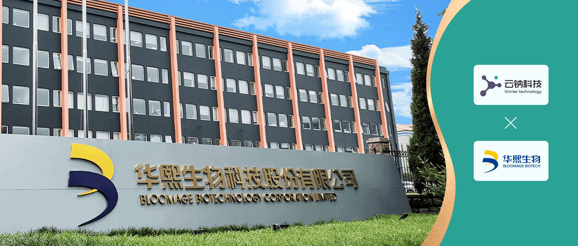 “玻尿酸第一股”华熙生物牵手云钠科技,重塑增长新动力